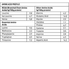 Avvatar Whey Protein 2 Kg